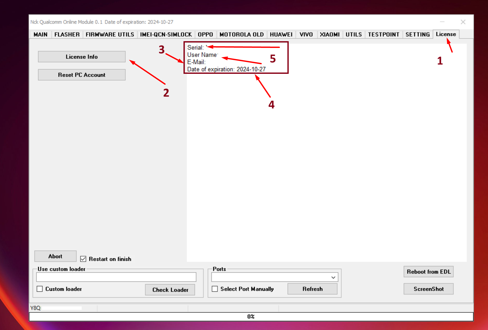 Example: license tab and license info details (expiry date, email, name)